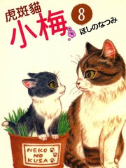 虎斑猫小梅